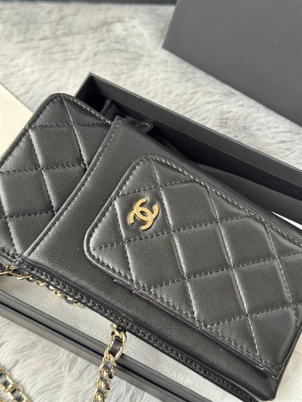 2026131221823809 350